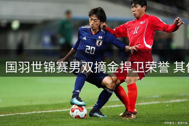 国羽世锦赛男双摘金捍卫荣誉 其他项目表现欠佳