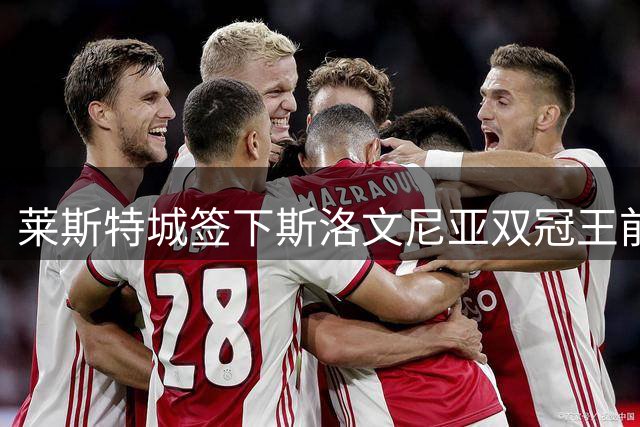莱斯特城签下斯洛文尼亚双冠王前锋布利斯特里奇